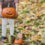 AUTUMN and HALLOWEEN – Otoño y Halloween